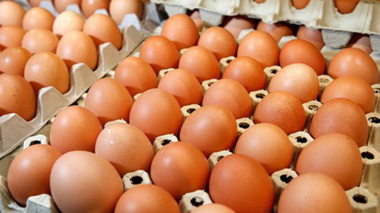 Giá trứng gia cầm bất ngờ tăng trở lại sau một thời gian dài giảm sâu